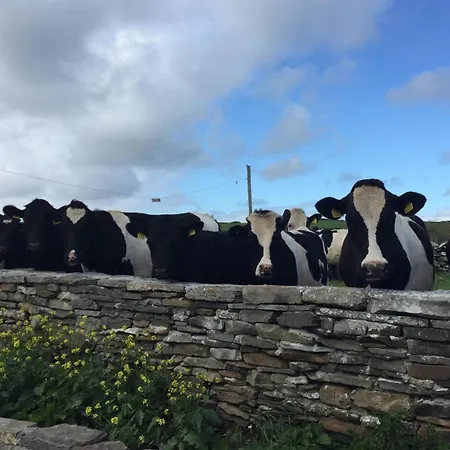 Ballyv House: Private Double With En-suite Bathroom, Breakfast, Near Cliffs Of Moher