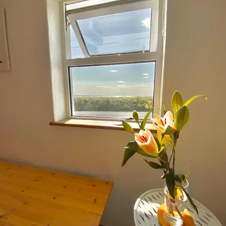 Bed and Breakfast Ballyv House: Private Double With En-suite Bathroom, Breakfast, Near Cliffs Of Moher 3*