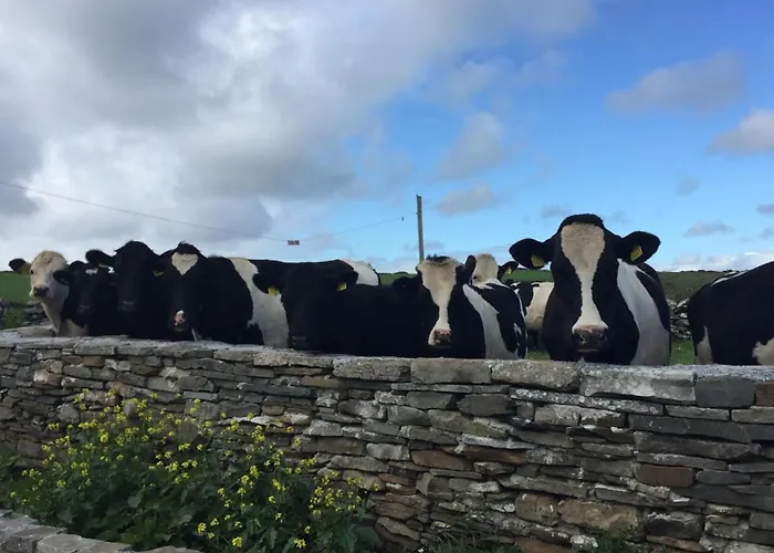 Ballyv House: Private Double With En-suite Bathroom, Breakfast, Near Cliffs Of Moher